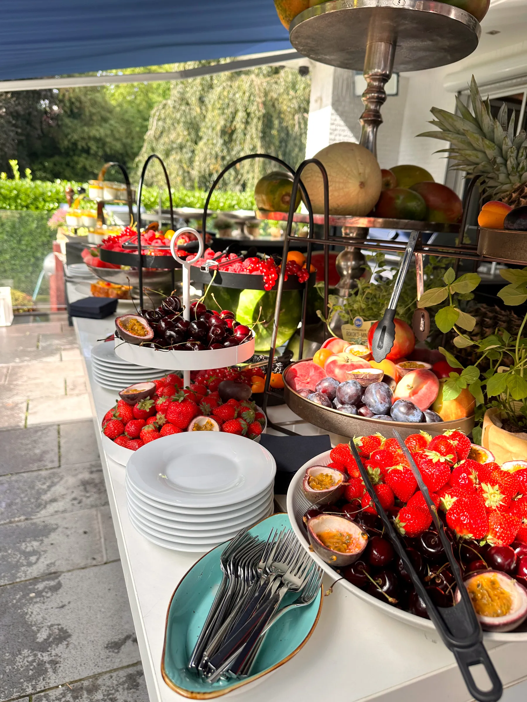 Frisches Obstbuffet im Garten